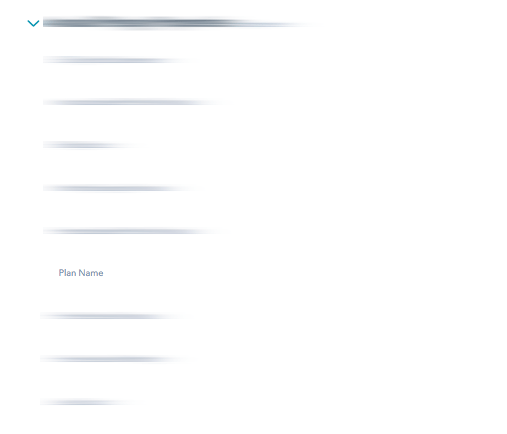 empty-plan-name.png